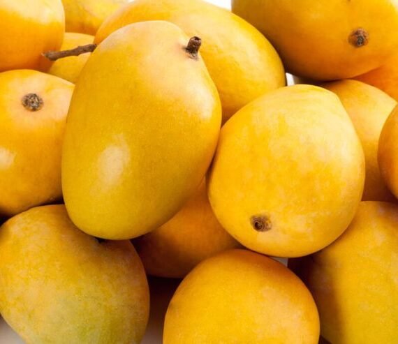 Ratnagir Alphonso